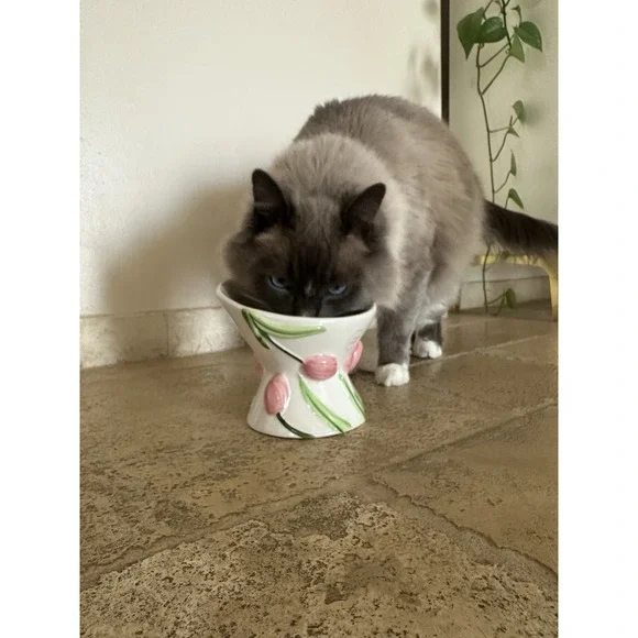 Mellow & Mod Cat Drinking Water Tall Bowl "Pink tulips" Hand Painted Colorful - Picture 8 of 10